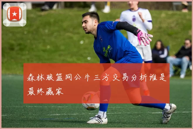 森林狼篮网公牛三方交易分析谁是最终赢家