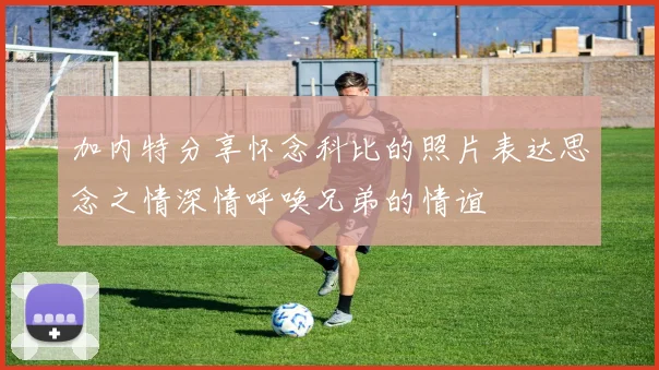 加内特分享怀念科比的照片表达思念之情深情呼唤兄弟的情谊