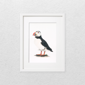 'Puffin' watercolour painting